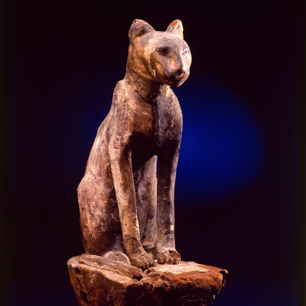 esquife-de-gato-periodo-ptolomaico-ao-romano-304-ac-395-dc-madeira-estucada-e-policromada-e-trac-cc-a7os-de-resina-51-x-21-x-356-cm